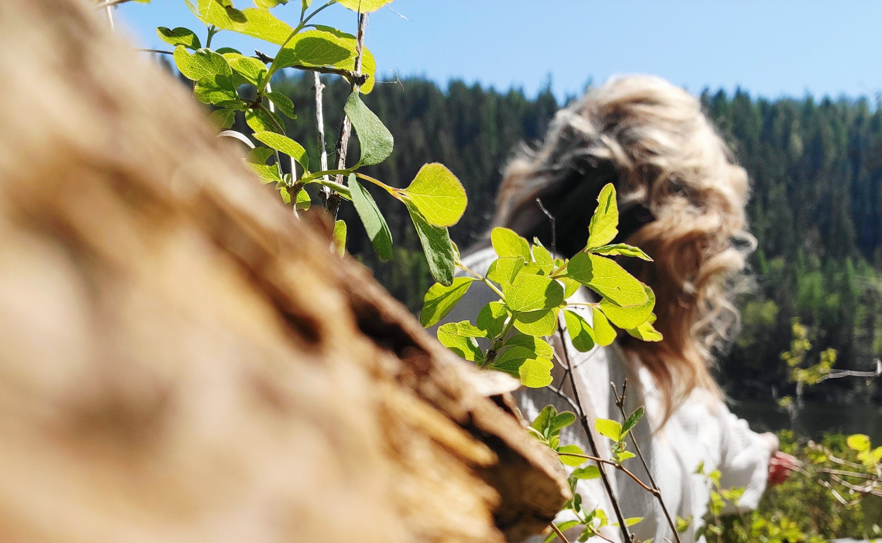 Person with long hair standing outdoors with greenery and a clear sky.