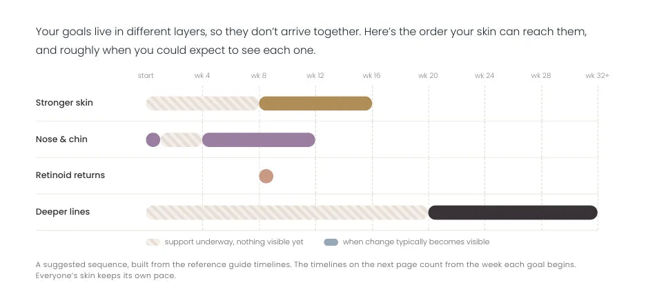 Excerpt from a real plan: goals in order on a timeline