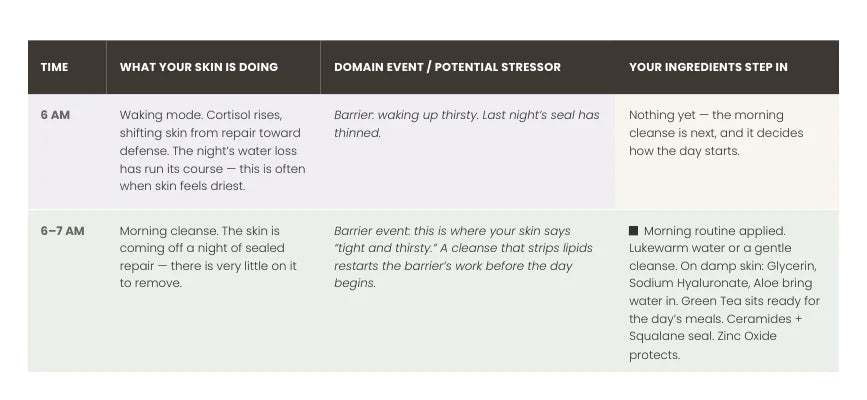 Excerpt from a real plan: the 24-hour skin day